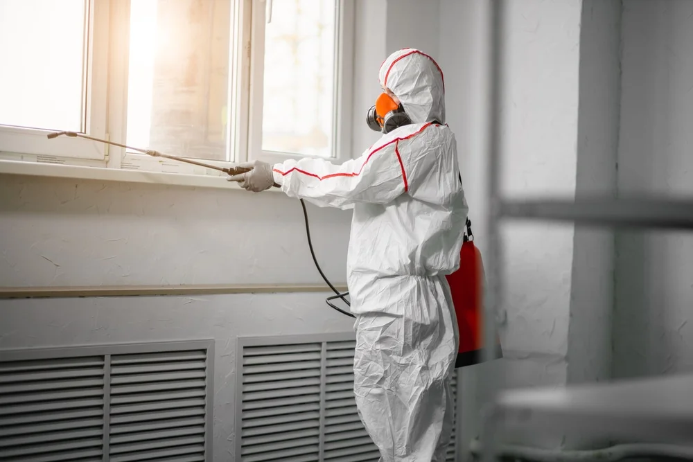 Professional mold remediation services in Port Reading, NJ